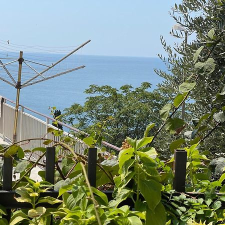 Apartments Hollaj Ulcinj Eksteriør billede
